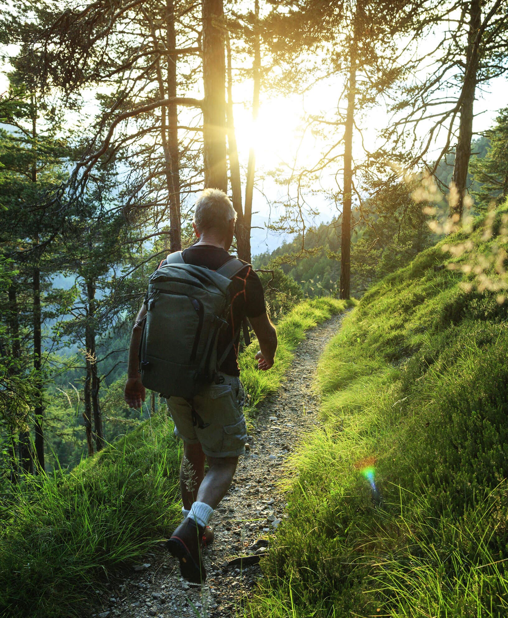 Birds of paradise against a wall